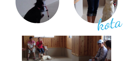 9月7日（日）しつけ教室(^.^)