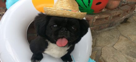 ケアにも慣らそう♪パート２❝歯磨き❞