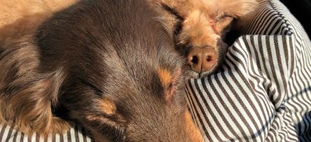 スッキリしない毎日だからこそ