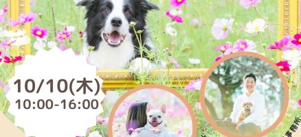 コスモス園写真撮影会開催！！