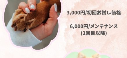 178式整体イベントご報告