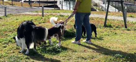 心の振れ幅が重要な時