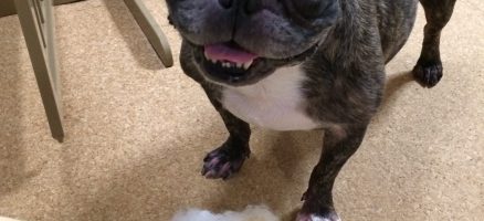 最も簡単に問題を解決する方法