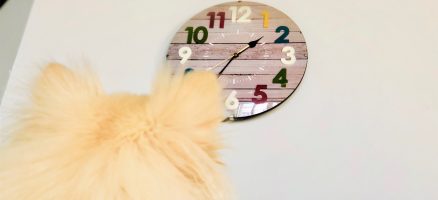 これ、忘れてませんか？