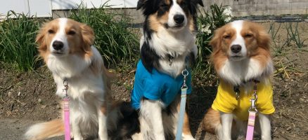 100点じゃないとダメ？？