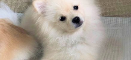 意外と解っていないリーダーシップ