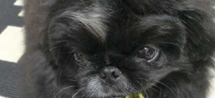 頭では分かっていても・・・