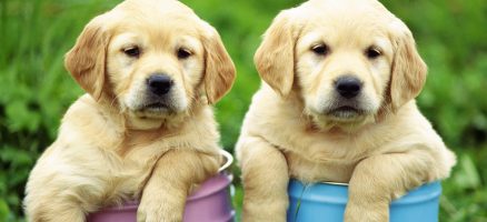 ☆イベントお知らせ☆