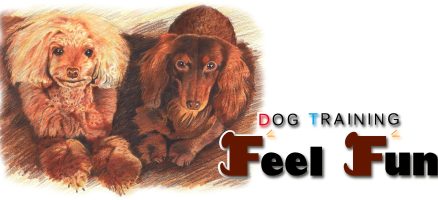 ☆イベントお知らせ☆