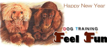 新年明けましておめでとうございます