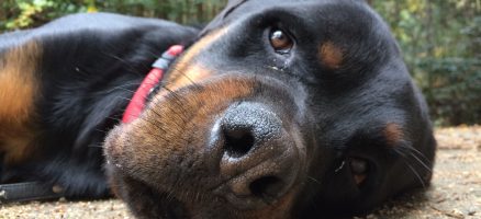 穏やかに暮らすために