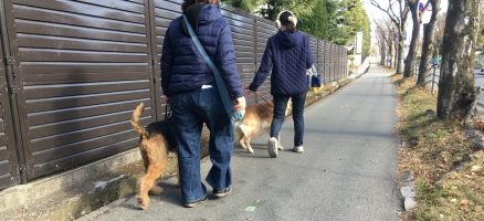 Feel Fun実践会2019年1月13日～お散歩練習編～