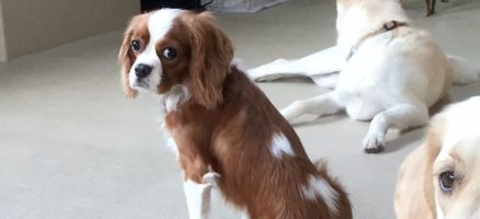 問題の根源を考える？？？～その２～