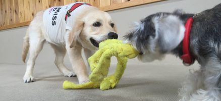 常に勝ち勝負の真意・前半