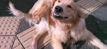 上手くいかない時に問いかける5つの質問・前半