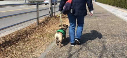 Feel Fun実践会2020年3月7日～お散歩練習編～