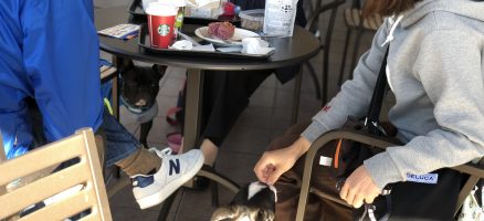 FeelFun実践会のお知らせ