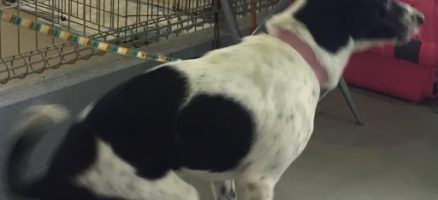 興奮して鎮まらない！！！