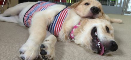 コミュニケーションは取らない！？後半