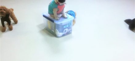 当たり前のものこそ盲点になる