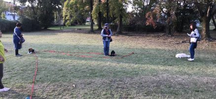 Feel Fun実践会2018年11月11日～お散歩練習編～