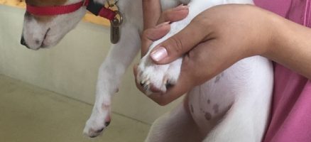 好きにさせてくれますか？