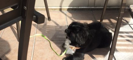 Feel Fun実践会2018年12月1日～カフェマナー編～