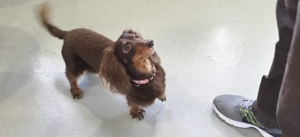 夏にも楽しめる嗅覚トレーニング