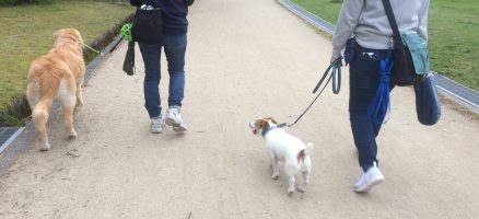 Feel Fun実践会2019年4月28日～お散歩練習編～