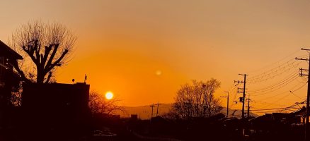 新入生紹介！！２月！！