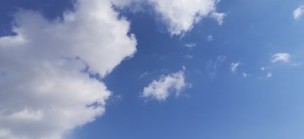 新入生紹介　～パワフルスタミナ満点パピーたち～