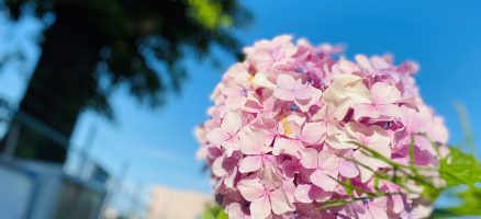 新入生紹介！！6月！！