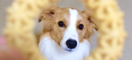 ルーティンワーク