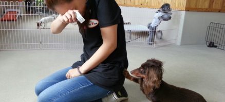 本当にその行動を変えたいか？