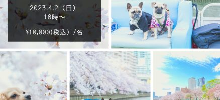 【桜クルーズ＆おさんぽ撮影会】