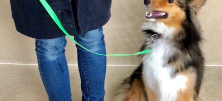 あなたは指示型？それとも委任型？