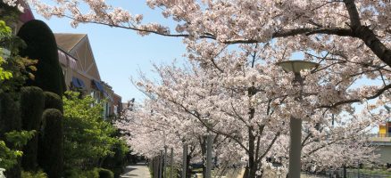 新入生紹介　～パピー祭り～