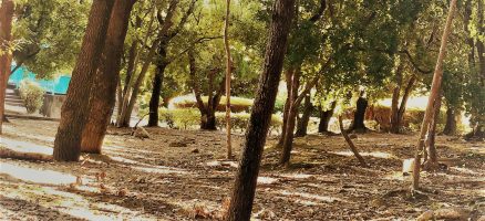 新入生紹介！！１０月！