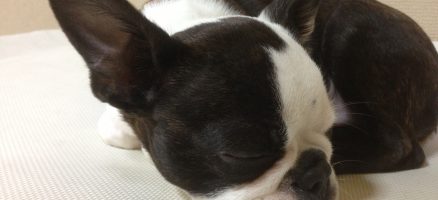 デイケア、こんなことしています♪