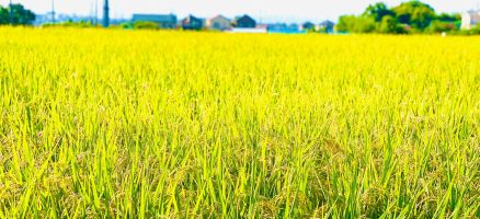 新入生紹介！９月！！