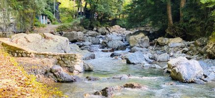 新入生紹介！！8月！！