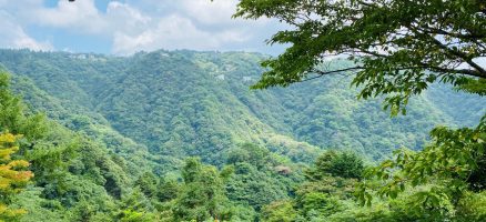 新入生紹介！！9月！！