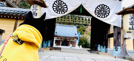 新入生紹介！！１月！！