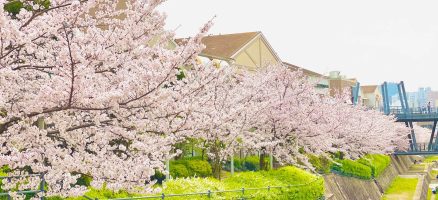 新入生紹介！！4月！！