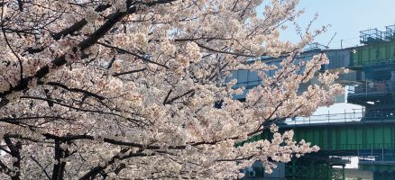 新入生紹介！！4月！！