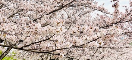 新入生紹介！！4月！！