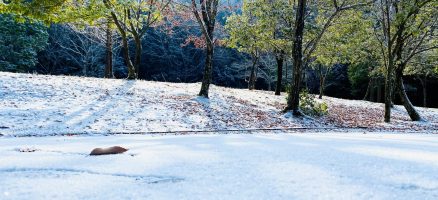 新入生紹介！！１月！！