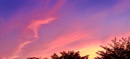 新入生紹介！！9月！