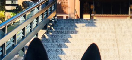 新入生紹介！12月！！