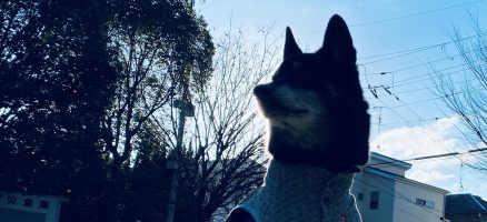 新入生紹介！！２月！！